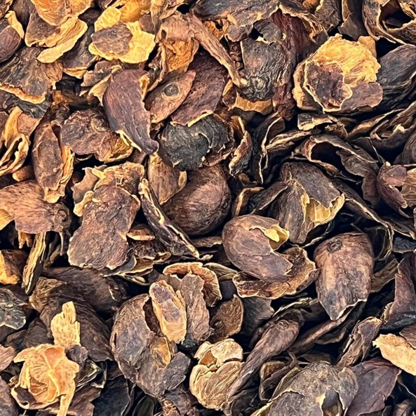 Cascara
